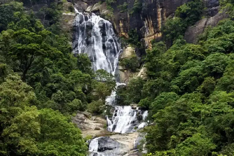 Trip To Sri lanka: Tea Trails